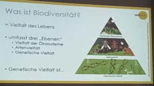 Read more about the article Workshop Biodiversität