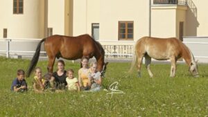 Read more about the article „Heilpädagogische und therapeutische Förderung mit dem Pferd“