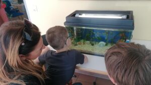 Mehr über den Artikel erfahren Aquarium
