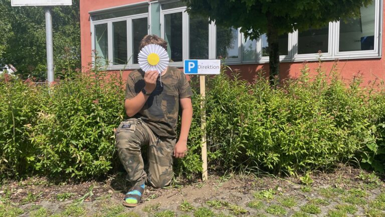 Mehr über den Artikel erfahren Parkplatz Direktion
