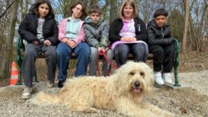 Mehr über den Artikel erfahren Lehrausgang „Frühling“ mit Schulhund Mali